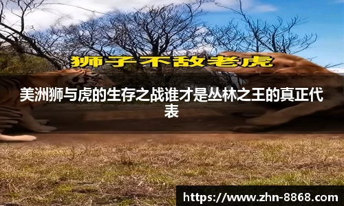 8868体育网页版网址